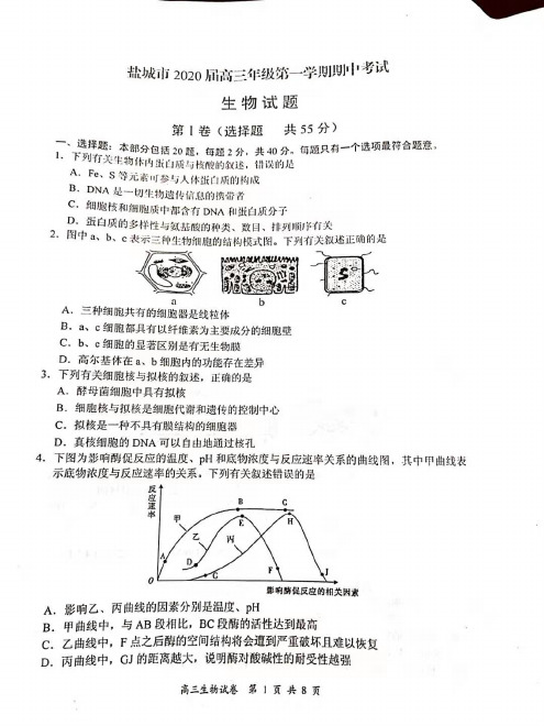 江苏省盐城市2020届高三第一学期期中考试生物试题