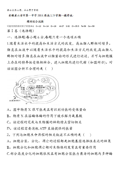 安徽省六安一中2016届高三下学期第一次模拟考试理综试题 含答案