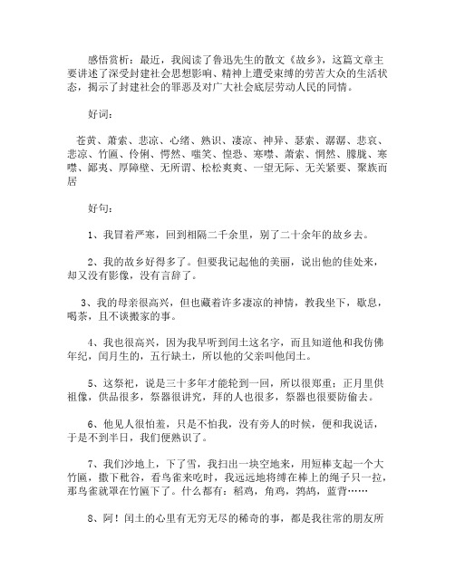 《故乡》读书笔记摘抄好词好句及感悟赏析