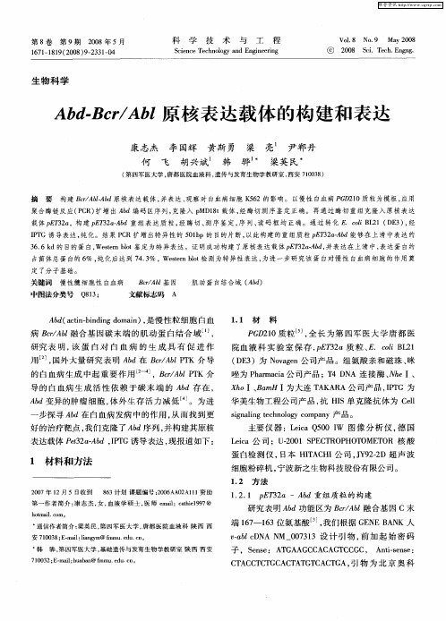 Abd-Bcr／Abl原核表达载体的构建和表达