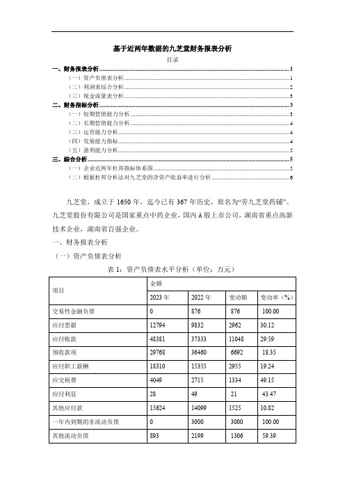 《基于近两年数据的九芝堂财务报表分析2100字》