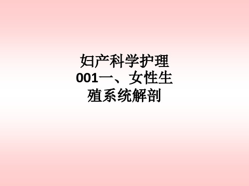 妇产科学护理001一、女性生殖系统解剖ppt课件