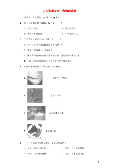 山东省泰安市中考物理真题试题(含解析)