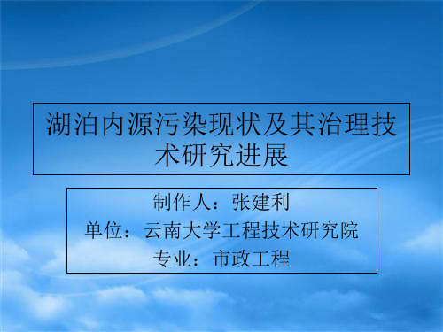 湖泊内源污染治理技术的研究进展PPT-PPT文档资料