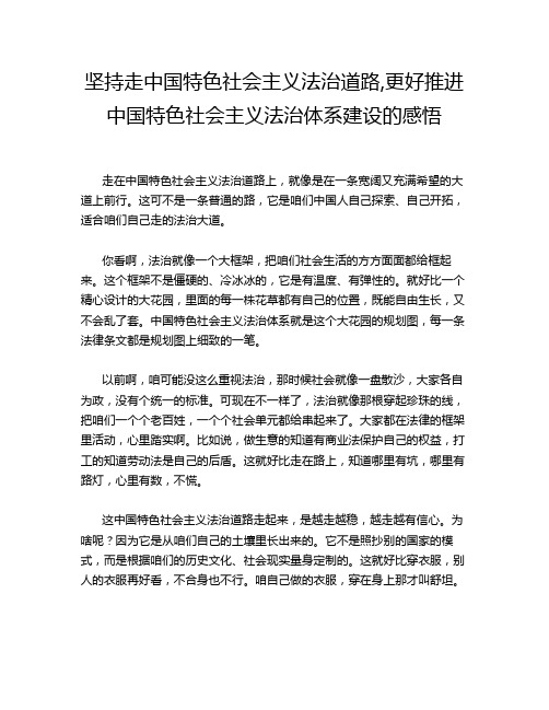 坚持走中国特色社会主义法治道路,更好推进中国特色社会主义法治体系建设的感悟