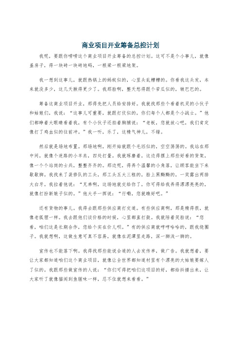 商业项目开业筹备总控计划