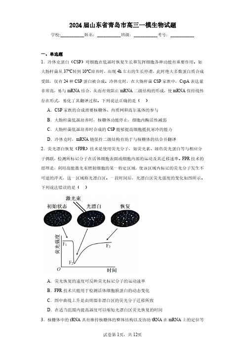 2024届山东省青岛市高三一模生物-试题含解析