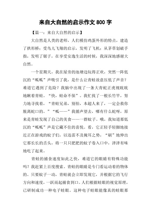 来自大自然的启示作文800字