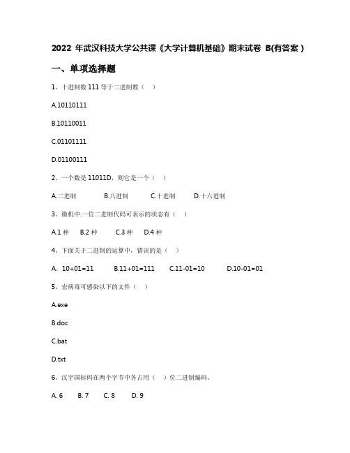 2022年武汉科技大学公共课《大学计算机基础》期末试卷B(有答案)