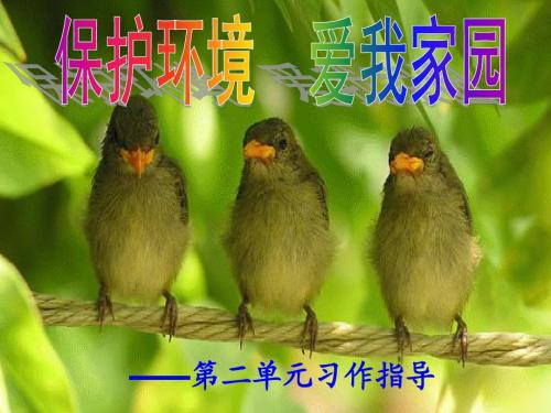 三年级语文下册第二单元作文《环境保护》