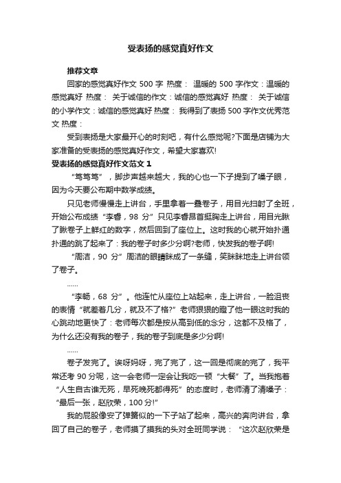 受表扬的感觉真好作文