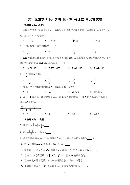 上海市(沪教版)六年级数学下册 第5章 有理数 单元测试卷 (解析版)