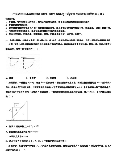 广东省中山市实验中学2024-2025学年高三高考物理试题系列模拟卷(8)含解析