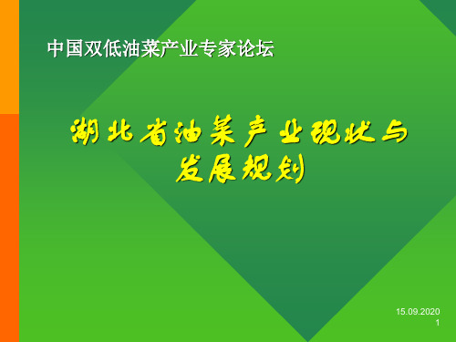 湖北省油菜籽加工现状与发展对策PPT课件