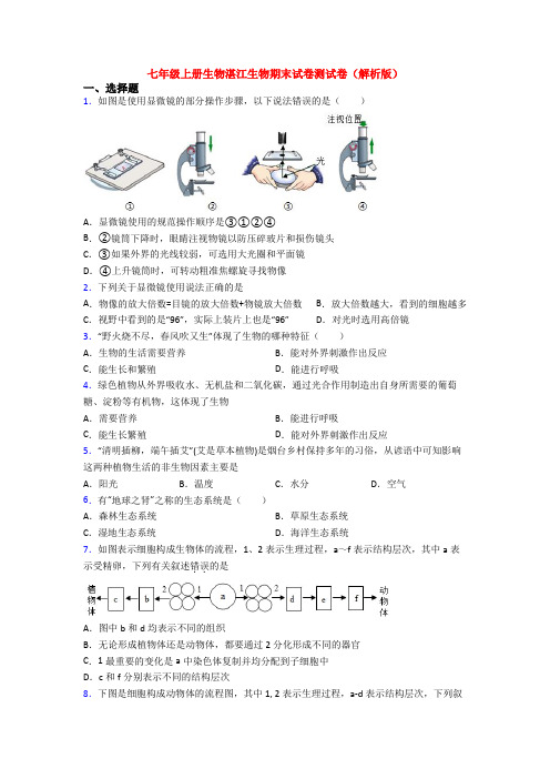 七年级上册生物湛江生物期末试卷测试卷(解析版)