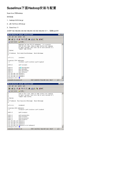 Suselinux下面Hadoop安装与配置