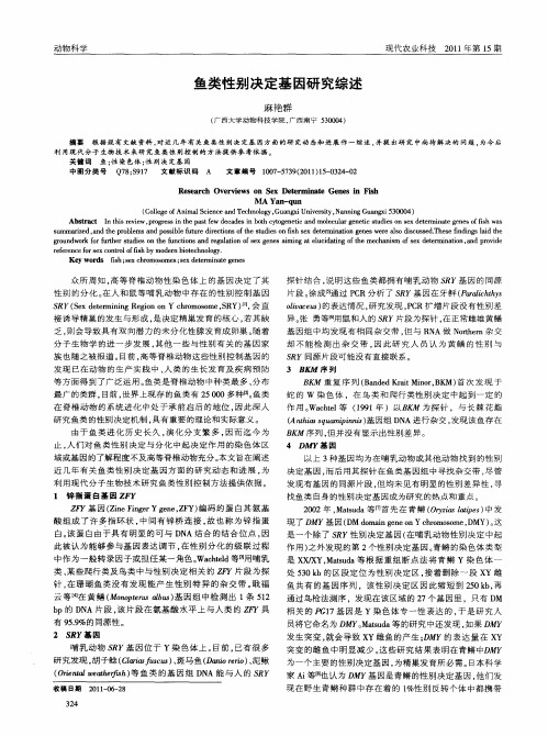 鱼类性别决定基因研究综述