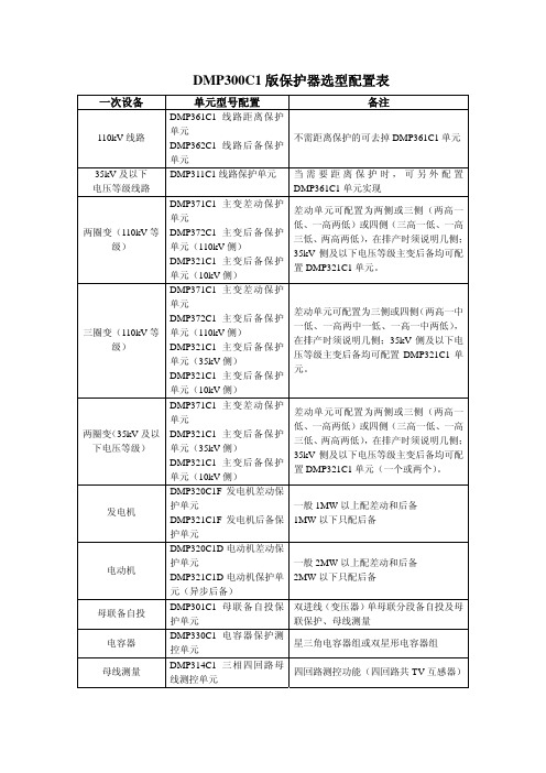 DMP300C1选型配置说明