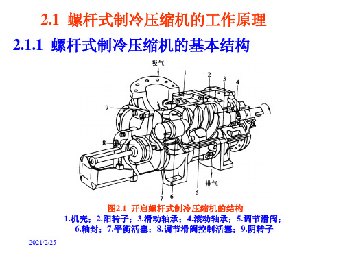 螺杆式制冷压缩机工作原理PPT课件