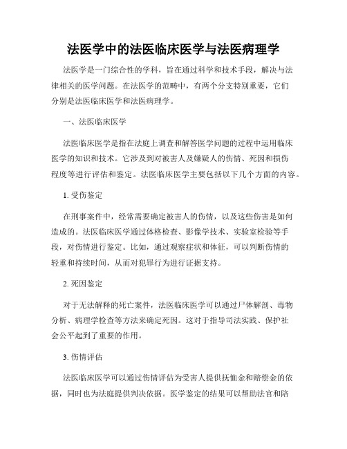 法医学中的法医临床医学与法医病理学