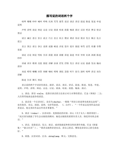 描写说的词语两个字