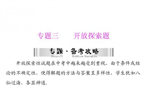 2014年中考数学总复习提能训练课件专题三_开放探索题