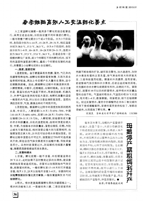 春季雏鹅高效人工变温孵化要点