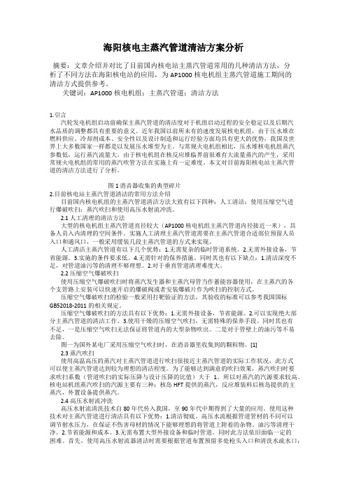 海阳核电主蒸汽管道清洁方案分析