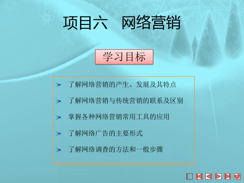 电子商务专业课程网络营销课件