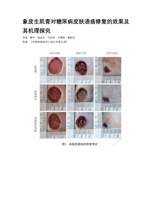 象皮生肌膏对糖尿病皮肤溃疡修复的效果及其机理探究