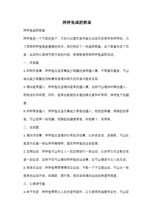 胖胖兔减肥教案