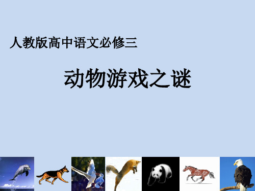 《动物游戏之谜》