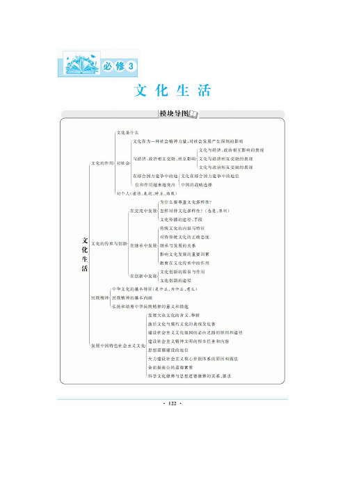 2020届高考政治总复习精品学案：第一课 文化与社会(必修3)