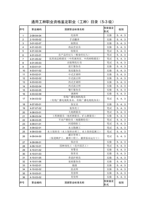 通用工种职业资格鉴定职业工种目录53级