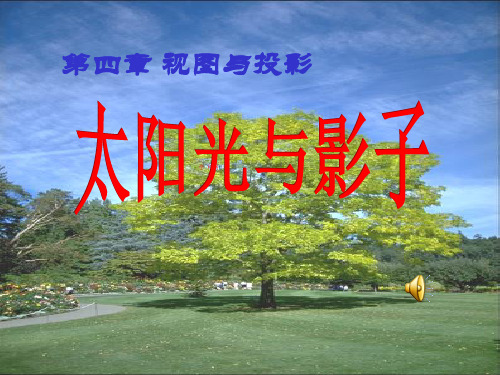 北师大九年级数学上册《太阳光与影子》课件