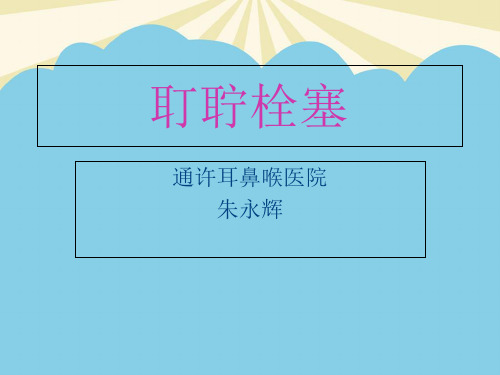 【优】耵聍栓塞最全PPT资料