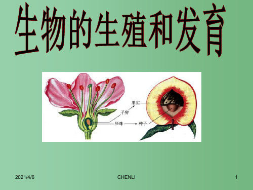 八年级生物上册 生物的生殖和发育复习课件 济南版