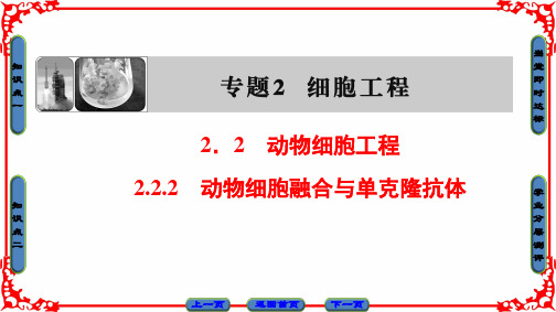 2018-2019学年高中生物人教版选修3专题2 细胞工程 专题2 2.2.2