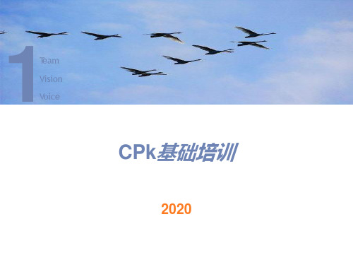 CPk基础知识