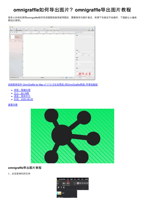 omnigraffle如何导出图片？omnigraffle导出图片教程