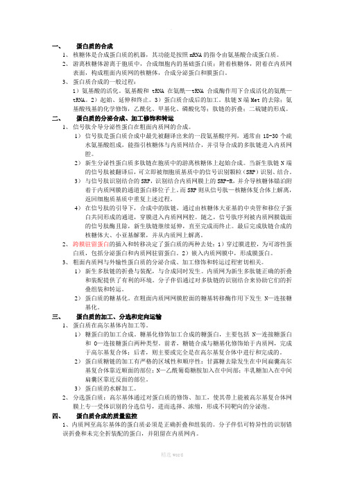 蛋白质合成、加工和转运的过程