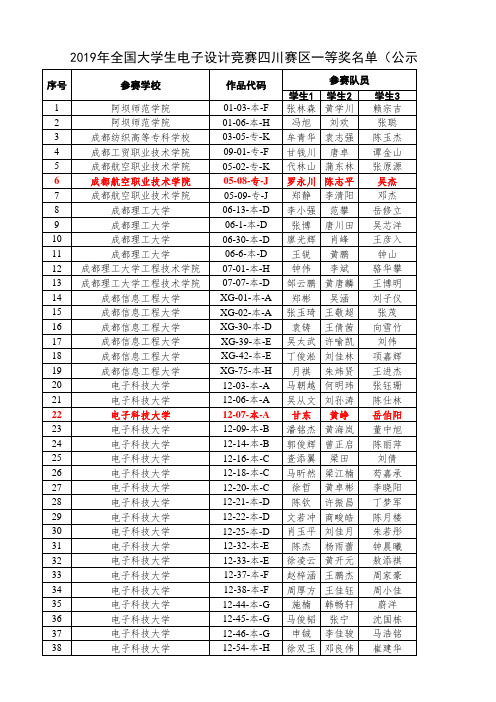 TI 杯2019全国大学生电子设计竞赛四川赛区评奖结果公示