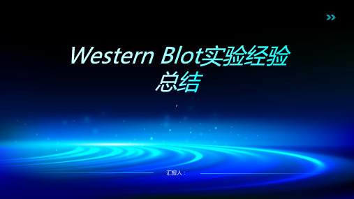 western blot总结前人的经验