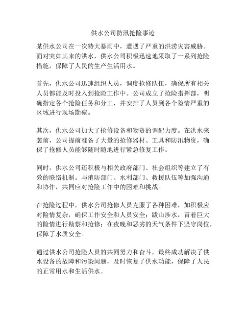 供水公司防汛抢险事迹