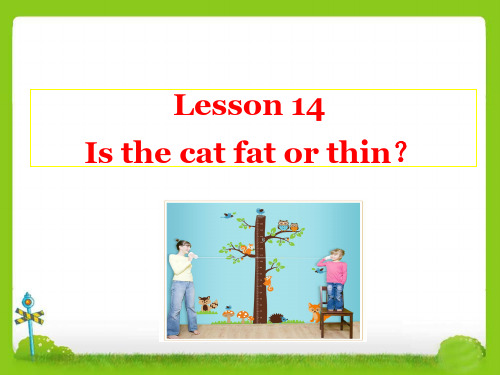 2019精选教育四年级上册英语课件-Lesson-14-Is-the-cat-fat-or-thin？｜接力版-(共15张PPT)