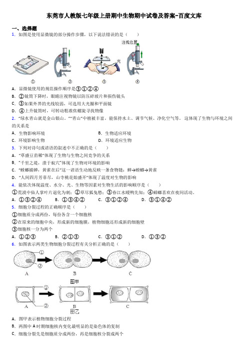 东莞市人教版七年级上册期中生物期中试卷及答案-百度文库