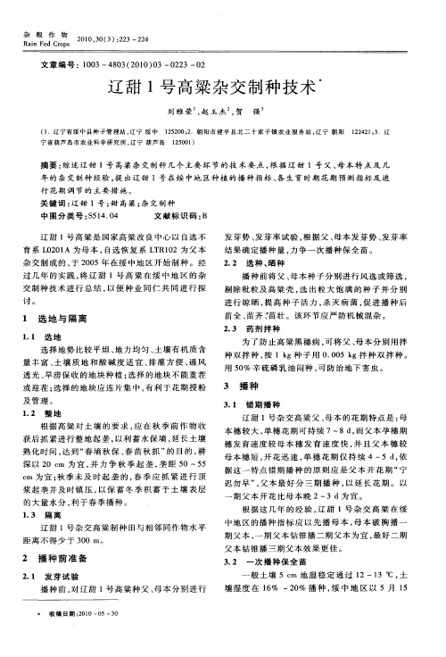 辽甜1号高粱杂交制种技术