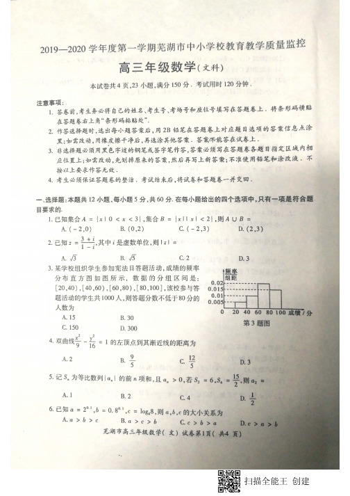 安徽省芜湖市高三上学期期末质量监控文科数学试题扫描含答案