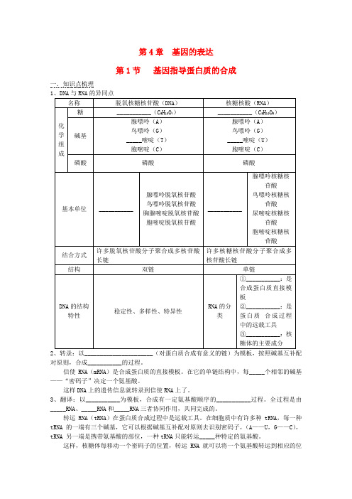 高考生物一轮复习 基因指导蛋白质的合成教案 新人教版必修2
