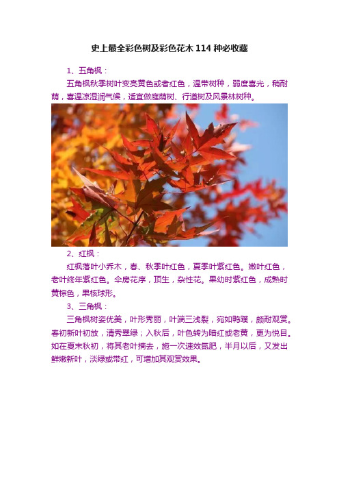 史上最全彩色树及彩色花木114种必收藏